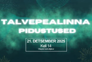 talvepealinn otepää